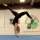 Carrie Steinhorst